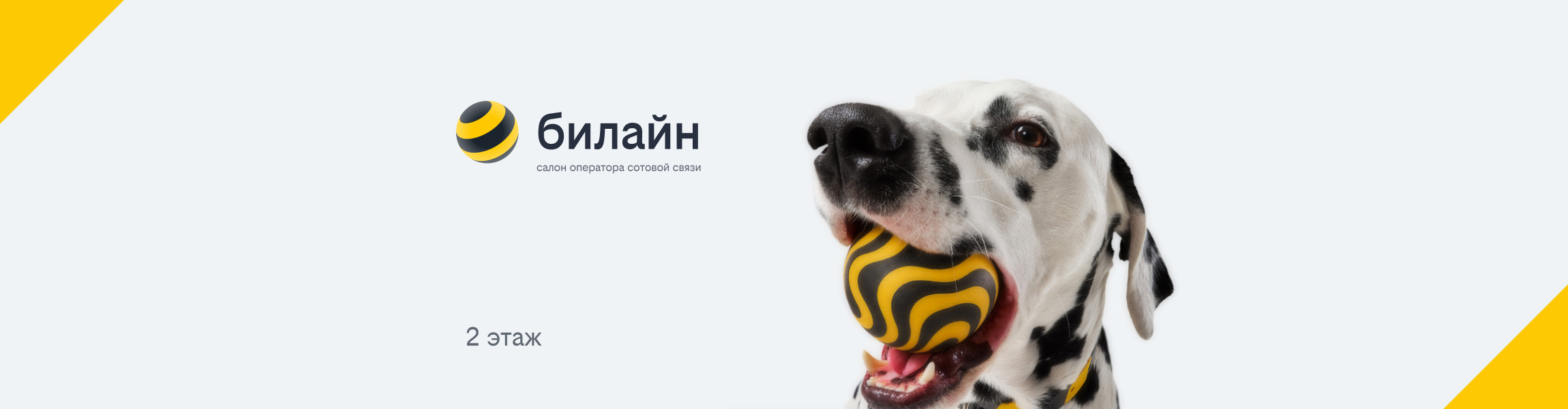 Билайн ТК «Фиолент»